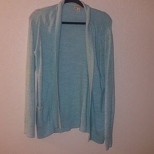 Mint Cardigan Sweater
